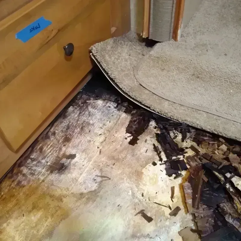 Wood Floor Water Damage in Middle River, MD